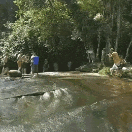 Разные гифки