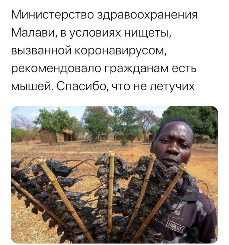 Политические комментарии из инета