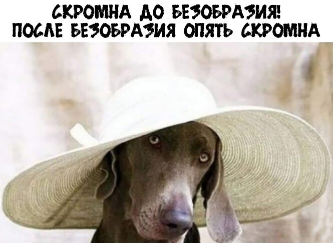Прикольные и смешные картинки