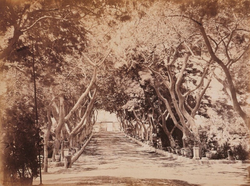 Сад Пастре, Александрия, 1861