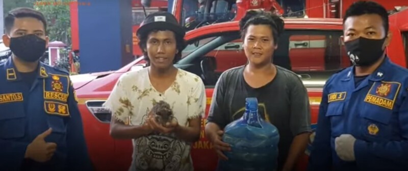 Пожарные спасли котенка, застрявшего в пластиковой бутылке
