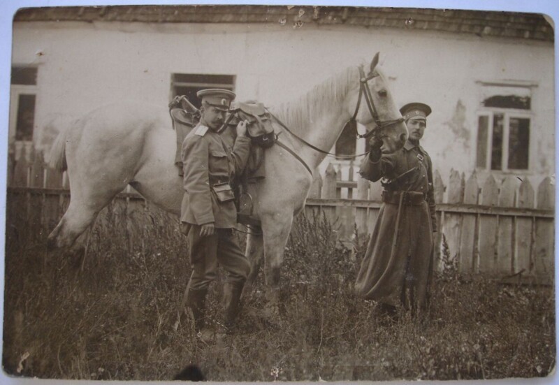 Донцы. 1914