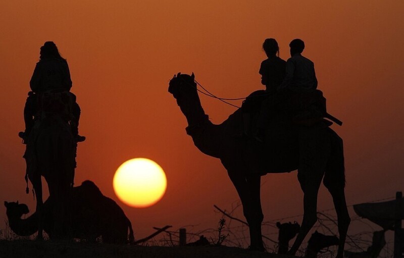 Прокатиться верхом на верблюде, кстати, здесь сможет каждый желающий. (Фото Rajesh Kumar Singh | AP):