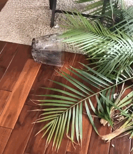 Разные гифки