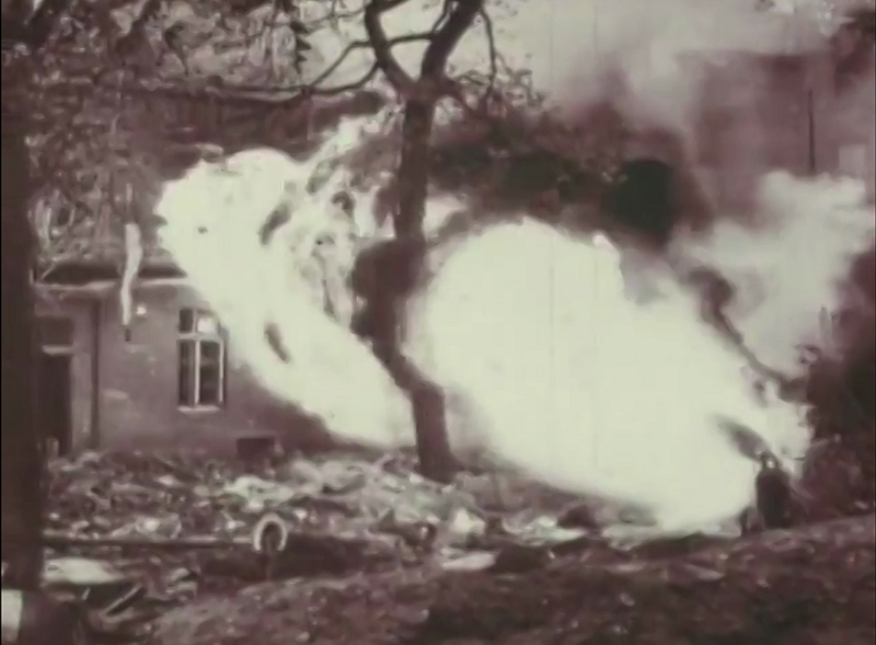 "Приказано - сжечь!". Подзабытый подвиг советских огнеметчиков под Москвой