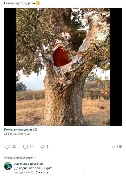 Скрины из социальных сетей