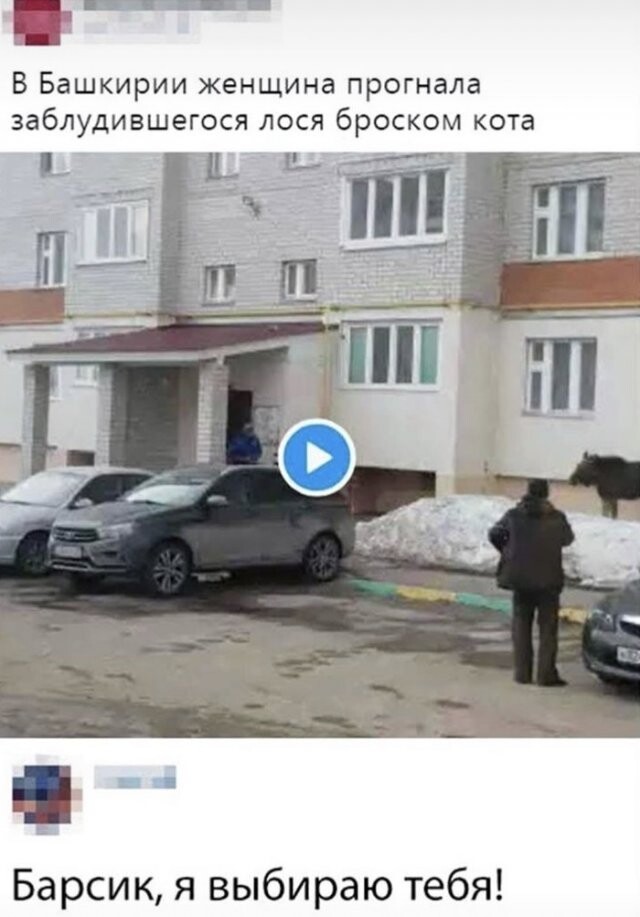 Юмор не для всех