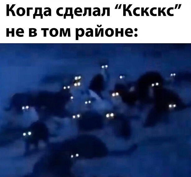 Прикольные и смешные картинки