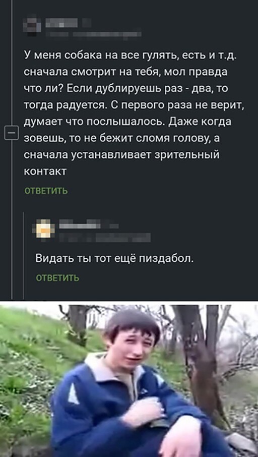 Прикольные и смешные картинки