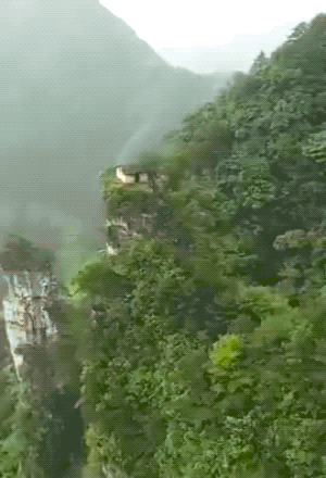 Разные гифки