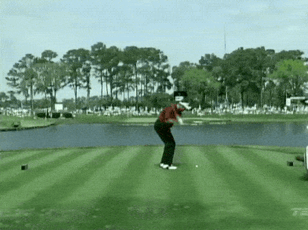 Разные гифки