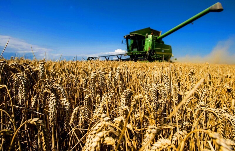 К 2028 году Россия может контролировать 20% экспортных рынков зерна