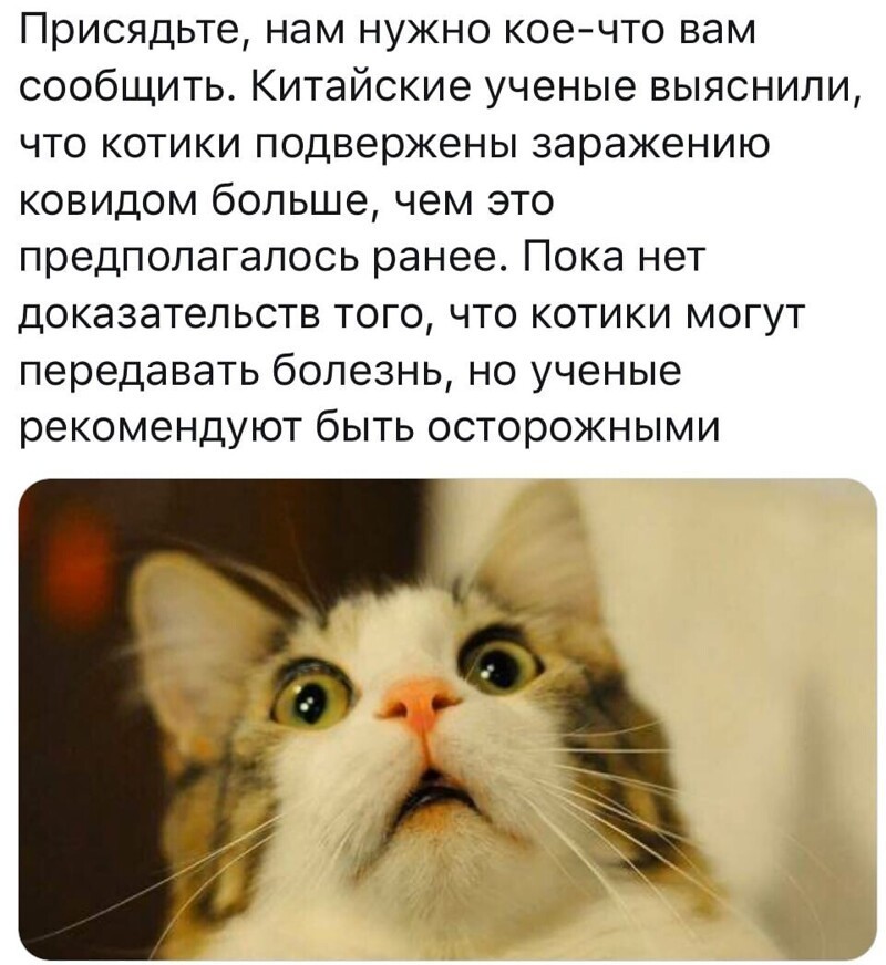 Политические комментарии из инета