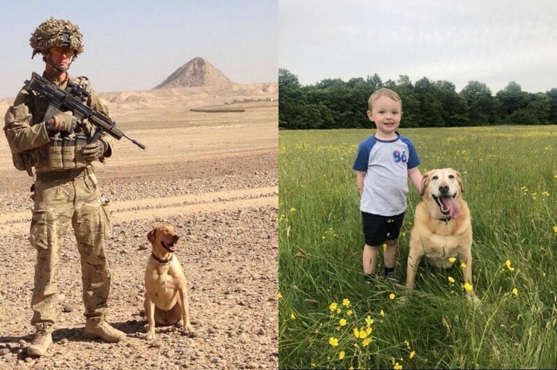 Бонус: как изменилась жизнь служебной собаки за 7 лет