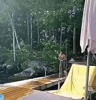 Гифки Гифки