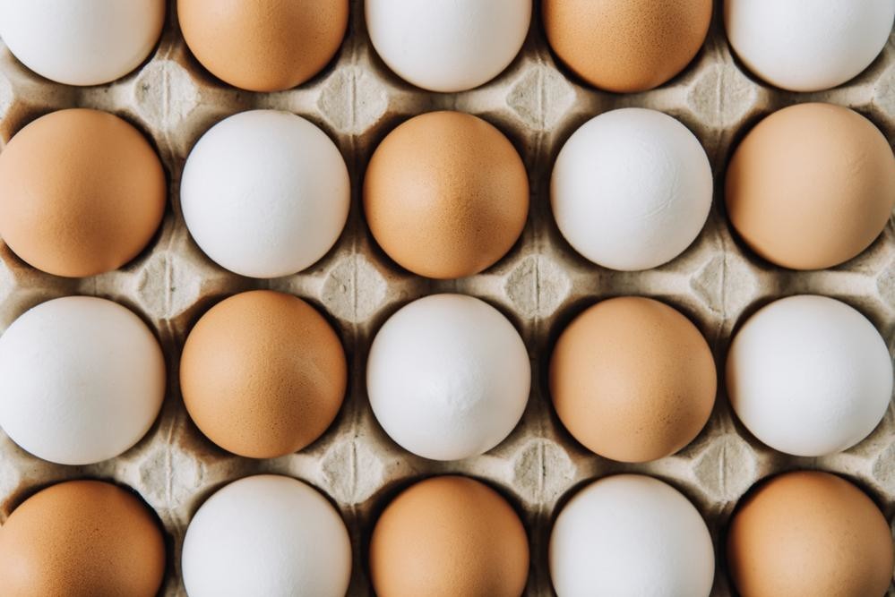 Почему куриные яйца разных цветов