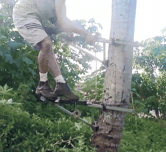 Просто гифки, всякие и разные