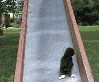 Просто гифки, всякие и разные