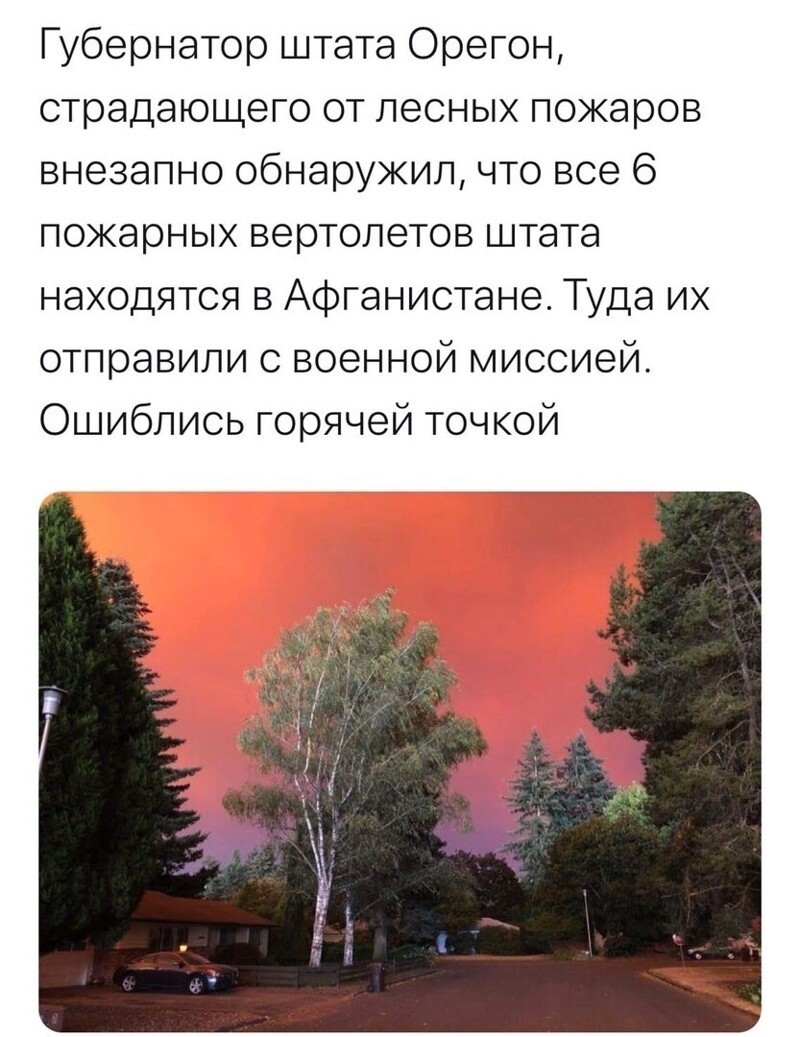 Политические комментарии из инета
