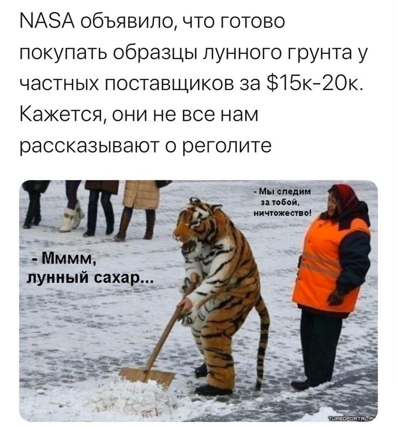 Политические комментарии из инета