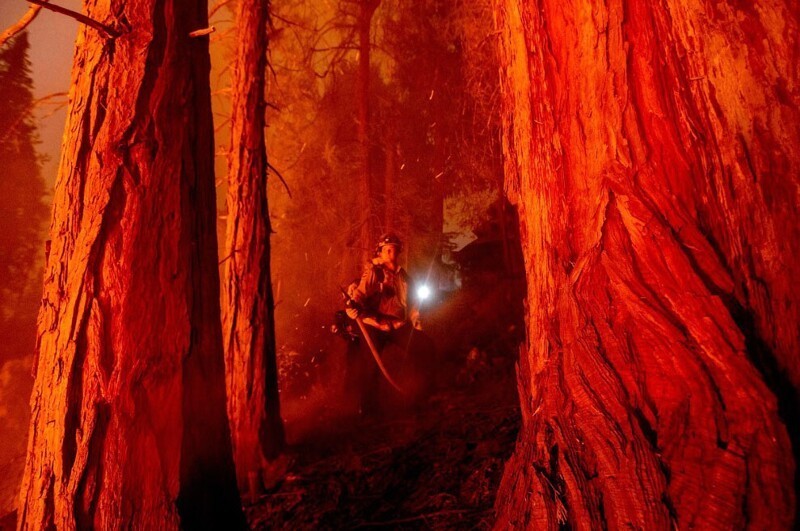 Пожарные в лесах в округе Фресно, Калифорния, 7 сентября 2020. (Фото Noah Berger):