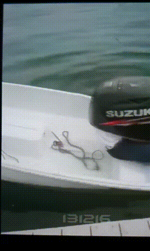 Двухлопастной- надёжный