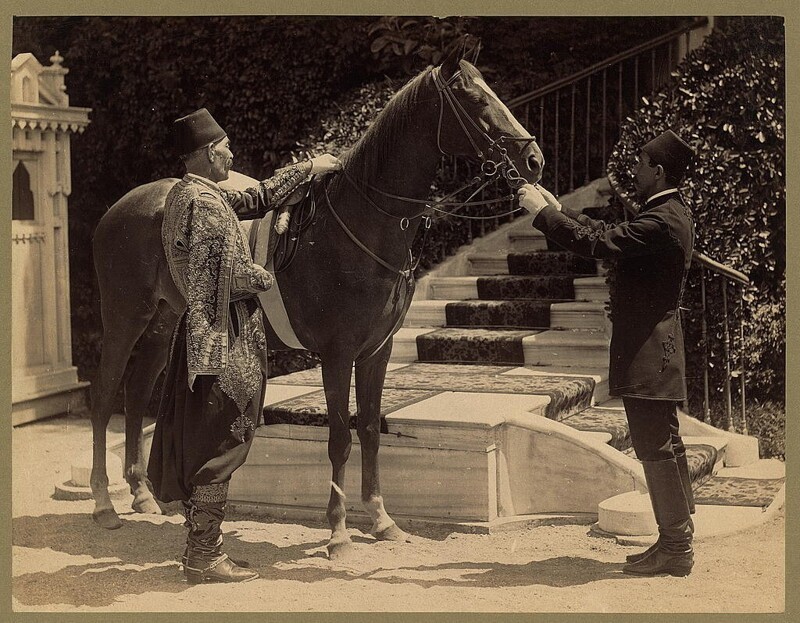 Одна из лошадей султана Абдульхамида