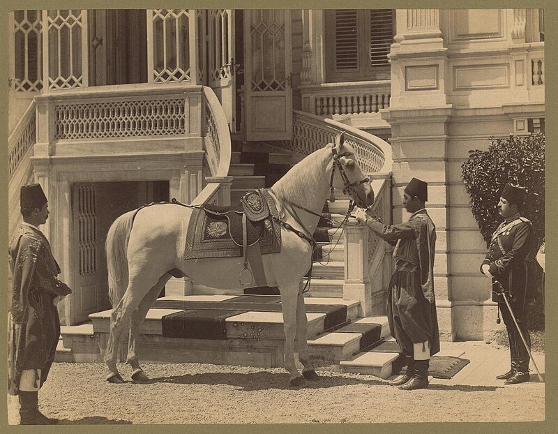 Эсиль, лошадь султана Абдульхамида