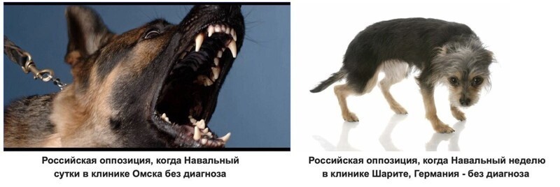 Политические комментарии 2