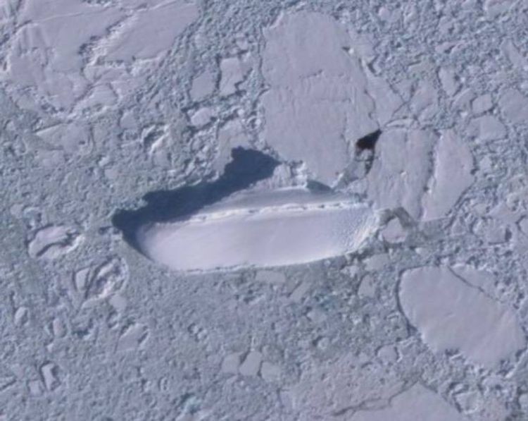 Заброшенный круизный лайнер найден недалеко от Антарктиды