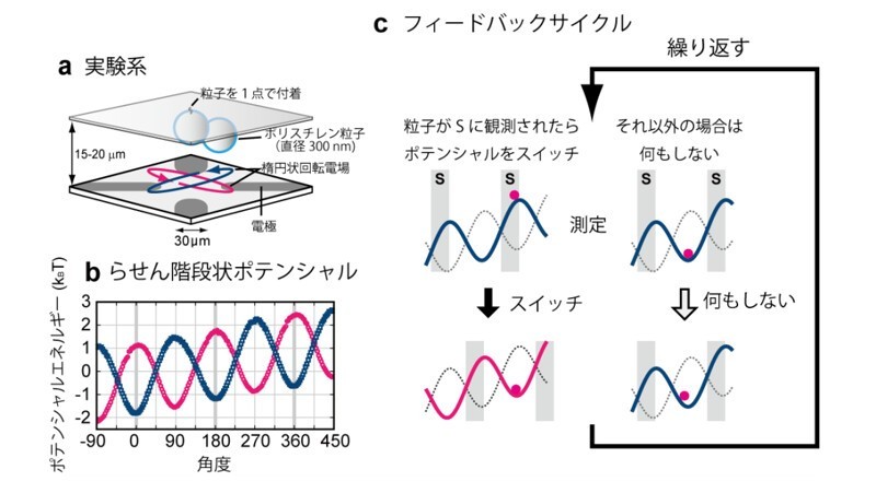 В 2010 году мысленный эксперимент в реальности удалось воплотить физикам из университетов Тюо и Токийского университета.