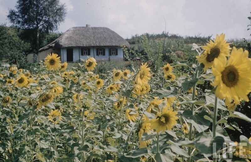 Путешествие Говарда Сочурека в цвете.1958