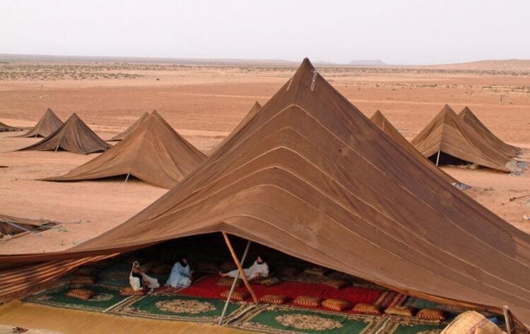 14. Жилые шатры необычной формы из Марокко