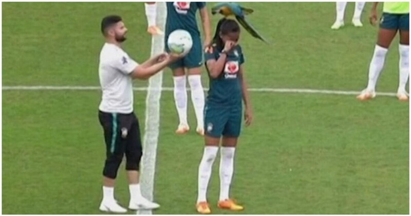 Крупный попугай сел на голову футболистке сборной Бразилии