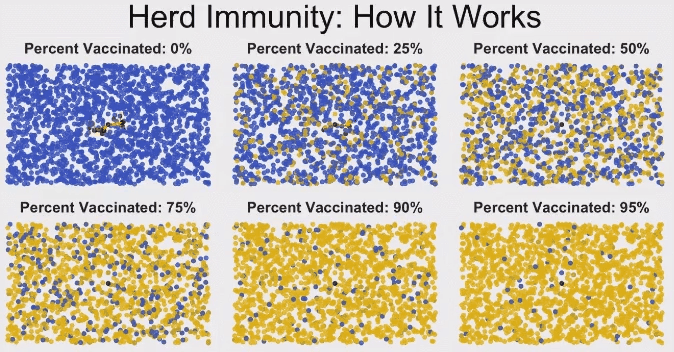 Коллективный иммунитет. Как это работает.
