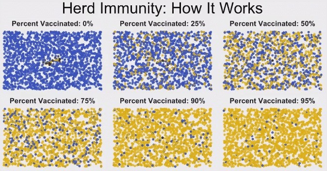 Коллективный иммунитет. Как это работает.