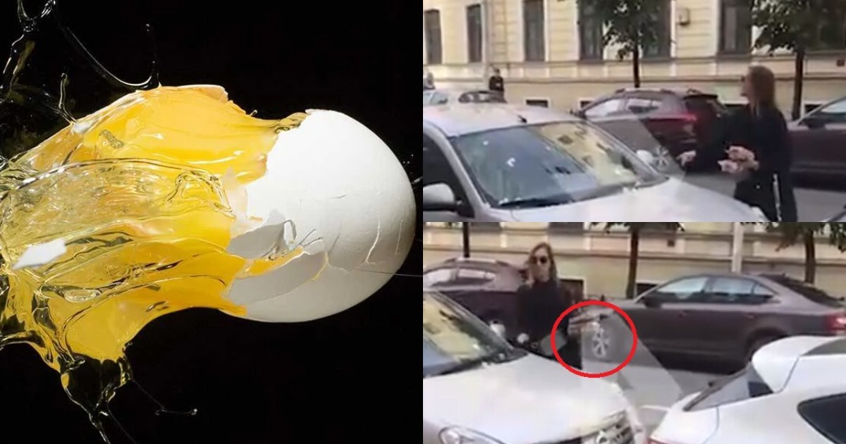 Что такое яйца на машине фото картинки