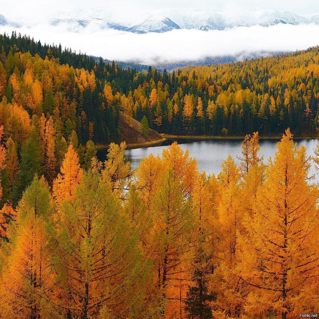 When autumn. Озеро Учкель Алтай. Восточно Сибирская Тайга. Алтай Тайга. Сибирь Урал Алтай.