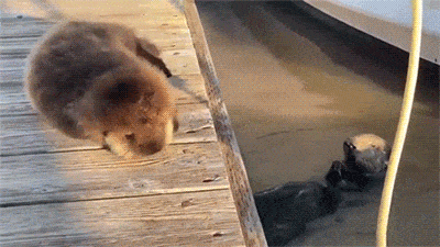 Гифки разные