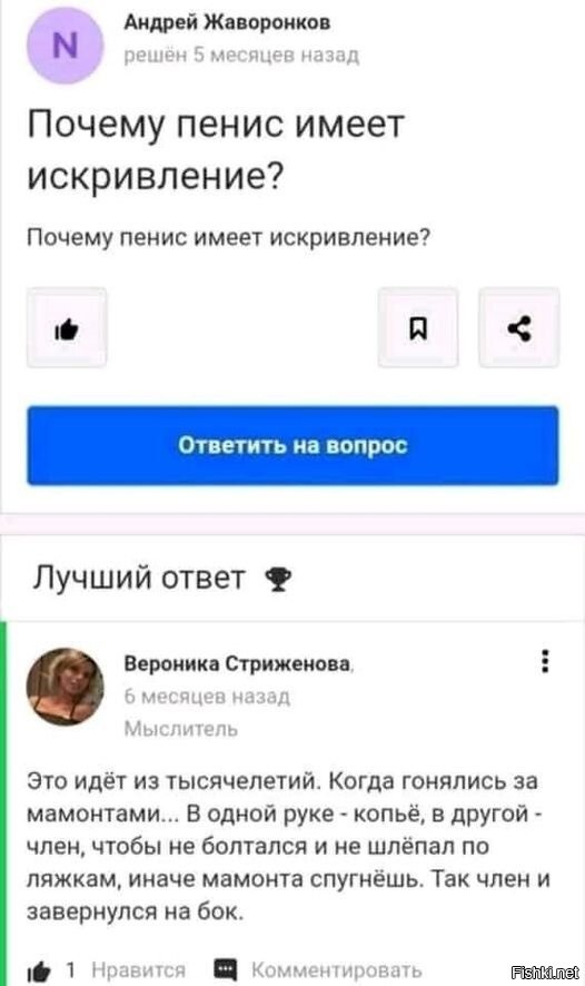 Ответ из интернета можно