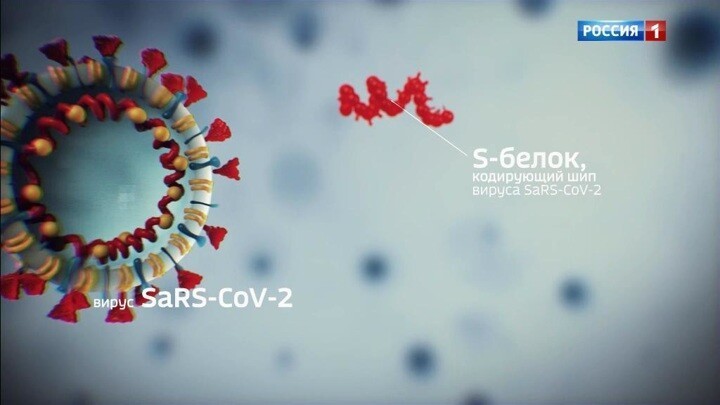 Что известно об испытаниях противокоронавирусной вакцины