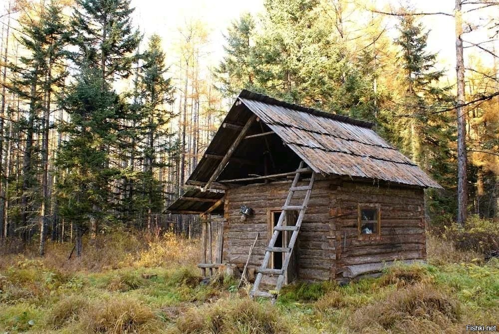 Сторожка в лесу картинки