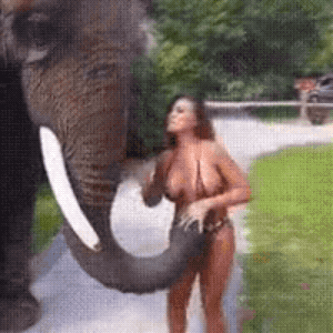 Гифки с девушками