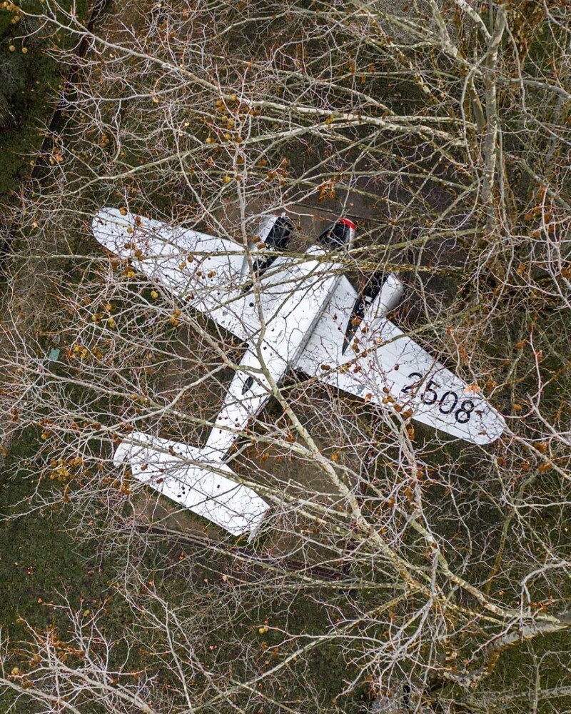 Самолет потерялся в лесу: