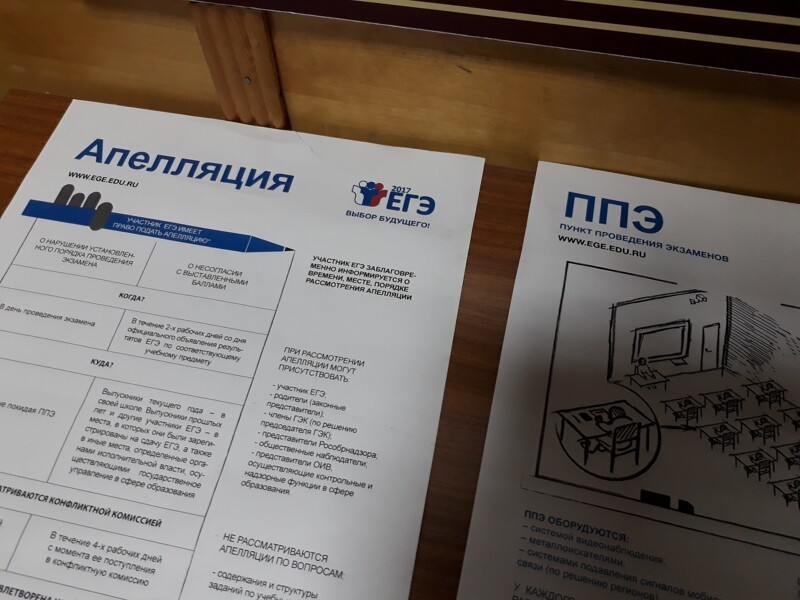 Воронежская школьница показала разницу между учебником и заданием ЕГЭ и получила 100 баллов