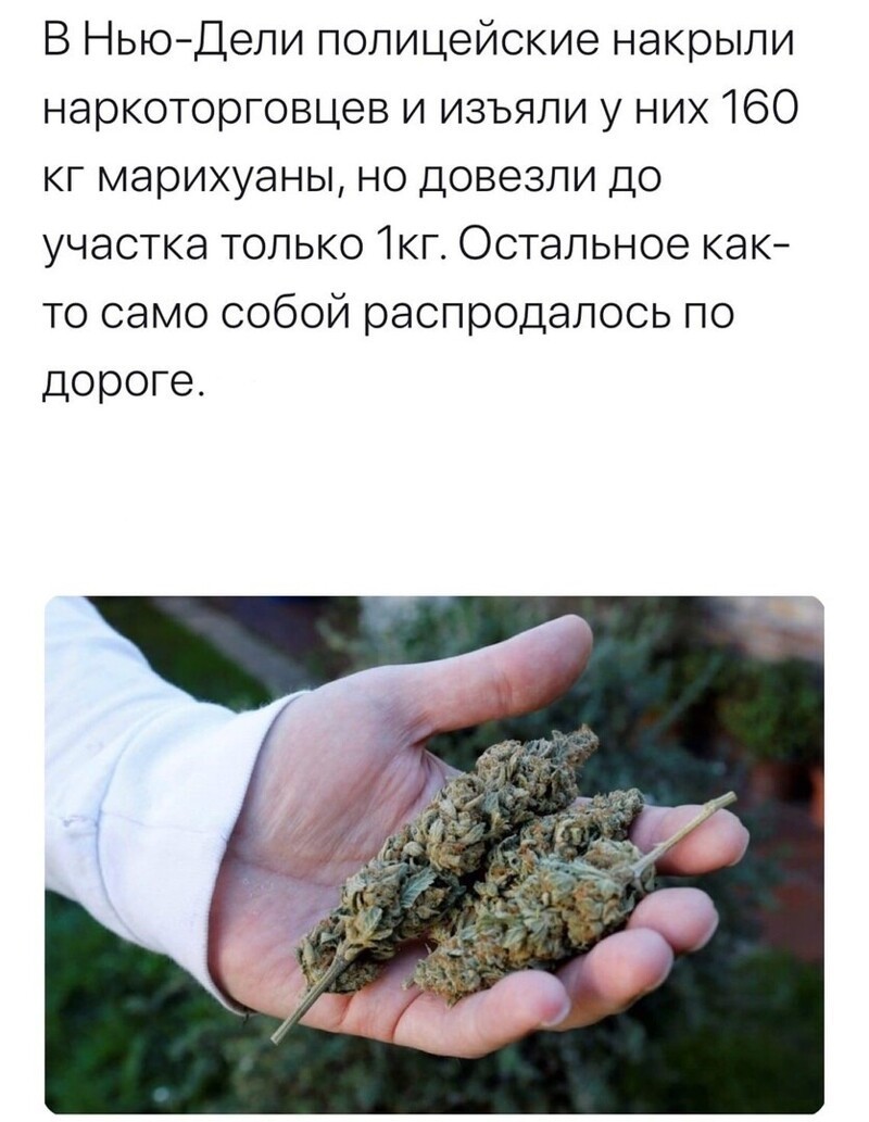 Политические комментарии из инета