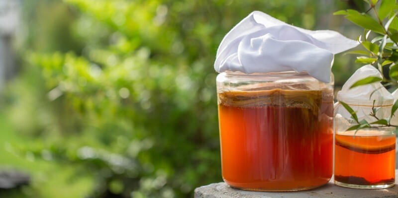8 полезных свойств чайного гриба