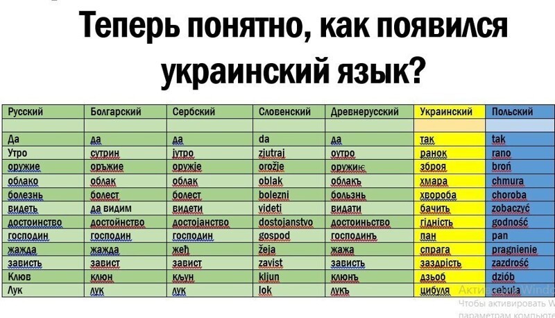 Политические комментарии из инета