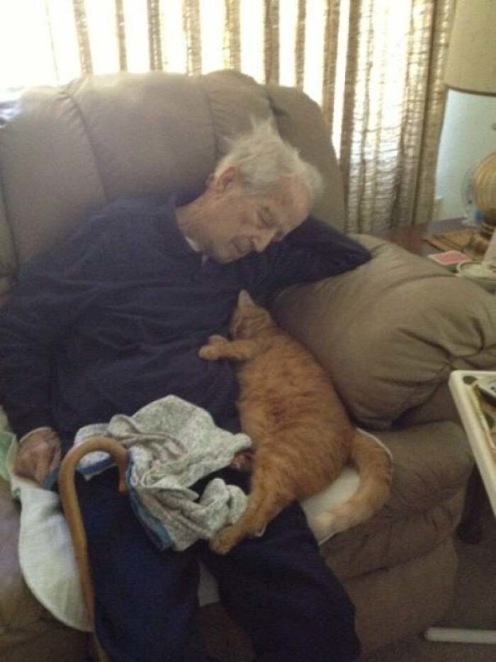 "Мой 100-летний дедушка и его 17-летний кот"
