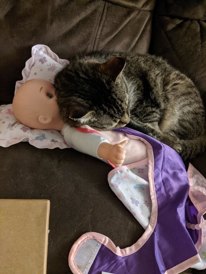 "Наша 15-летняя красавица спит на кукле моей дочки, потому что на ней остался ее запах"